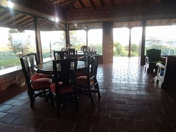 VENDEMOS FINCA CURITI 15 HECTARIAS PLANA
