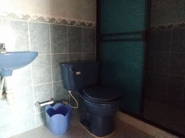 VENDEMOS FINCA CURITI 15 HECTARIAS PLANA