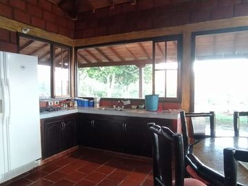 VENDEMOS FINCA CURITI 15 HECTARIAS PLANA