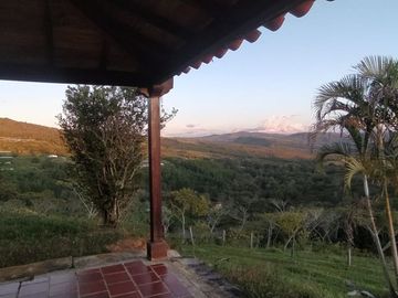 VENDEMOS FINCA CURITI 15 HECTARIAS PLANA