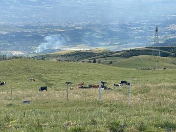 Venta oportunidad hacienda de 154 hectáreas en Pifo
