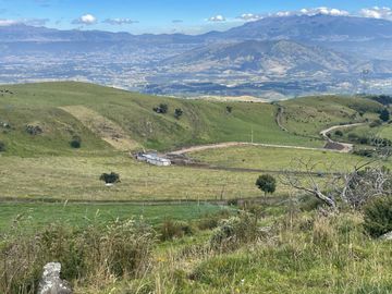 Venta oportunidad hacienda de 154 hectáreas en Pifo