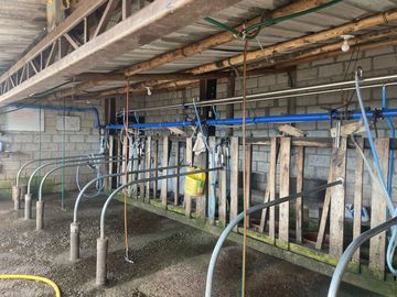 Venta oportunidad hacienda de 154 hectáreas en Pifo
