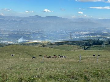 Venta oportunidad hacienda de 154 hectáreas en Pifo