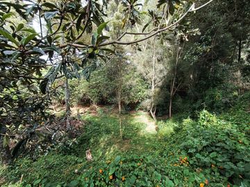VENTA PROPIEDAD INDEPENDIENTE URB. YAGUACHI SECTOR VALLE DE LOS CHILLOS