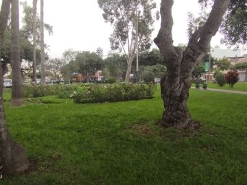 Lindo departamento en venta en primer piso y frente a parque. 🌳