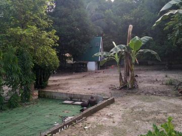 FARM LOT FOR SALE IN SAN FELIPE ZAMBALES