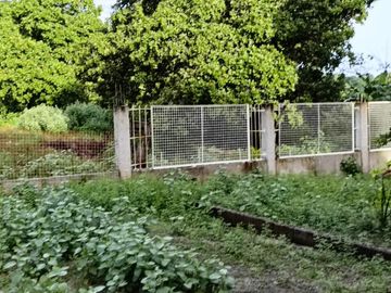 FARM LOT FOR SALE IN SAN FELIPE ZAMBALES