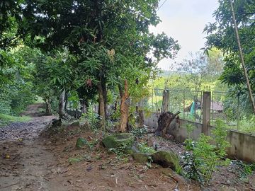 FARM LOT FOR SALE IN SAN FELIPE ZAMBALES
