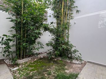 ¡Descubre tu Nuevo Hogar en Terrazas del pedregal!