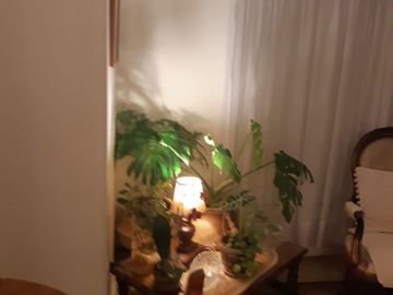 CÓMODA Y HERMOSA CASA EN LAS HIGUERAS TALCAHUANO