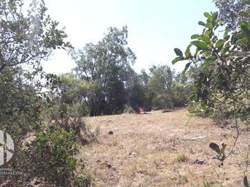 VENDO TERRENO EN CULIPRAN MELIPILLA