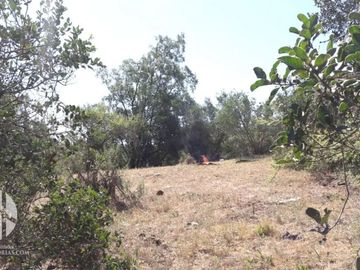 VENDO TERRENO EN CULIPRAN MELIPILLA