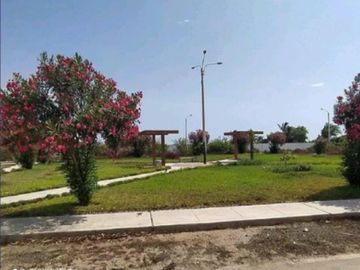 VENTA DE TERRENO EN PIMENTEL CHICLAYO
