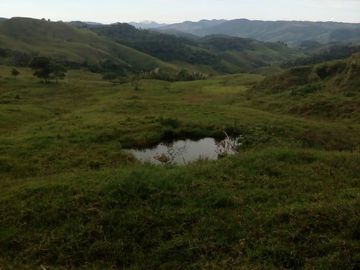 VENDO FINCA GANADERA Y AGRÍCOLA EN AMALFI ANTIOQUIA.