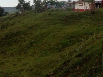 VENDO FINCA GANADERA Y AGRÍCOLA EN AMALFI ANTIOQUIA.
