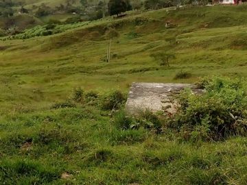 VENDO FINCA GANADERA Y AGRÍCOLA EN AMALFI ANTIOQUIA.