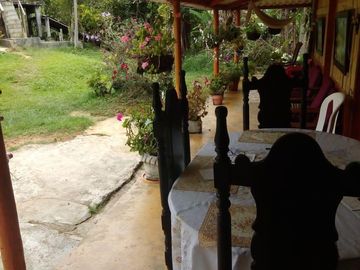 VENDO FINCA GANADERA Y AGRÍCOLA EN AMALFI ANTIOQUIA.