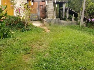 VENDO FINCA GANADERA Y AGRÍCOLA EN AMALFI ANTIOQUIA.