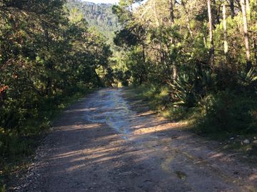 Quinta en venta en Arteaga Coahuila