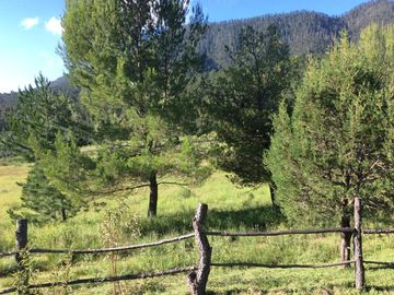 Quinta en venta en Arteaga Coahuila
