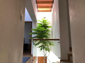 Venta Casa de 4 niveles en colonia Balcones Coloniales con jardín y roof garden