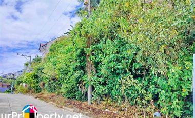 for sale overlooking lot in south hills subdivision tisa labangon cebu city