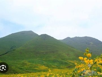 TERRENO en VENTA en PACHACAMAC
