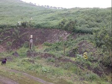 TERRENO en VENTA en PACHACAMAC
