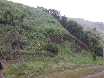 TERRENO en VENTA en PACHACAMAC