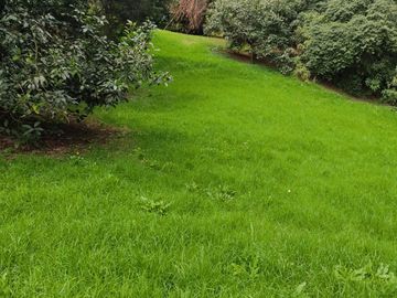 Vendo Hacienda de 44.600M2, Av. General Rumiñahui, Sangulqui, Industrial y urbanol