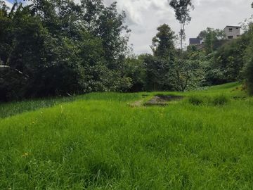 Vendo Hacienda de 44.600M2, Av. General Rumiñahui, Sangulqui, Industrial y urbanol