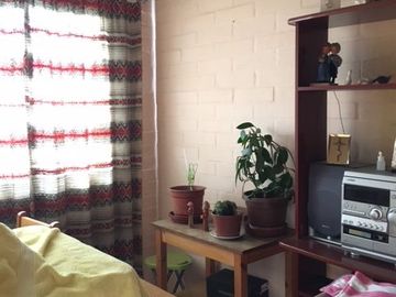 TRONCOS VIEJOS – VILLA ALEMANA