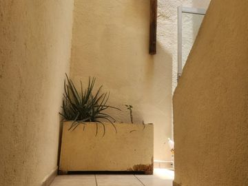Venta de casa en el Cerrito cerca del Tepetate.