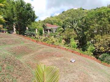 HOUSE AND LOT FOR SALE SIQ00140