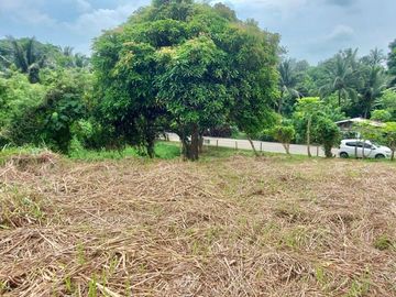 VACANT LOT FOR SALE IN TAGAYTAY