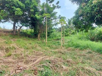 VACANT LOT FOR SALE IN TAGAYTAY