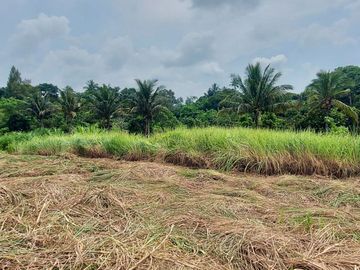 VACANT LOT FOR SALE IN TAGAYTAY