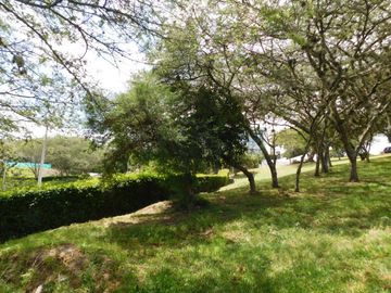 Terreno en Urbanizacion La Quinta, Cumbaya