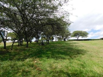 Terreno en Urbanizacion La Quinta, Cumbaya