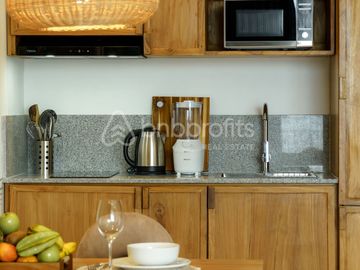Modern Design and Brand New 1 Bedroom Apartment in Berawa