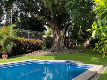 Chapultepec - Inversionistas!!! Super ubicacion - Para remodelar  , uso comercial!.