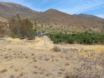 Petorca, parcela 1400 paltos en producción con abundante agua.