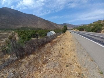 Petorca, parcela 1400 paltos en producción con abundante agua.