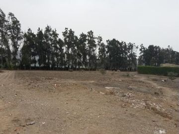 TERRENO en VENTA en PACHACAMAC
