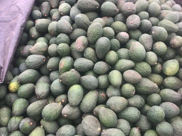 Ocasión Fundo Santa María en Venta!