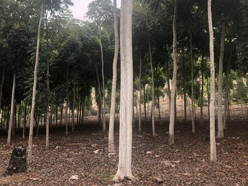 Ocasión Fundo Santa María en Venta!
