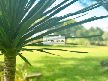 4-Hectare House and Lot Resort Farm with Swimming Pool For Sale in Tanauan, Batangas