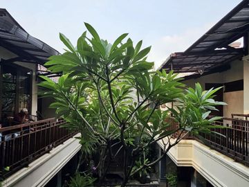 Di Jual Guest house aktif di lebak bulus jakarta Selatan