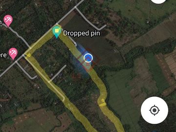 FOR SALE 5 Ha Farm Lot in Calauan, Laguna - SM48